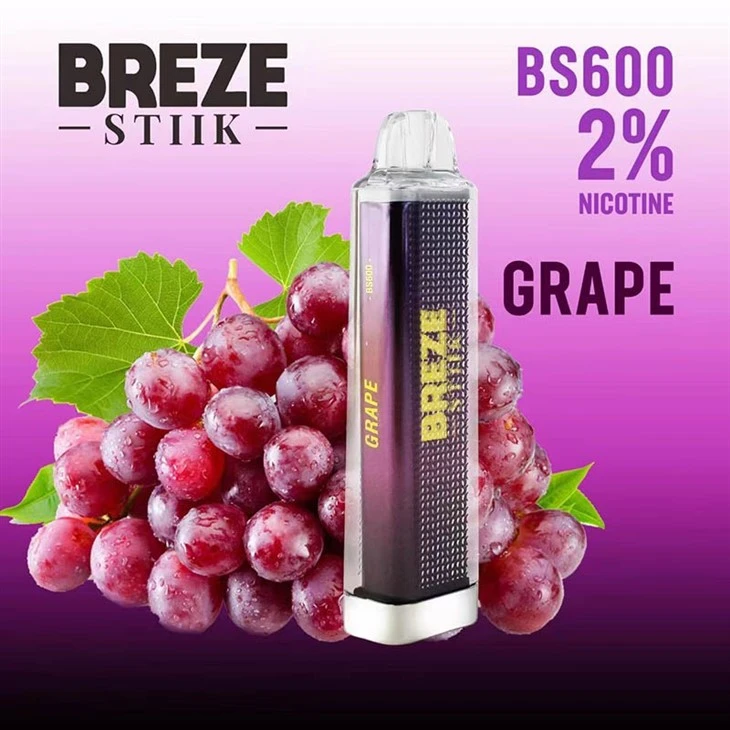 BREZE STIIK BS600 PUFF Disposable Vape best