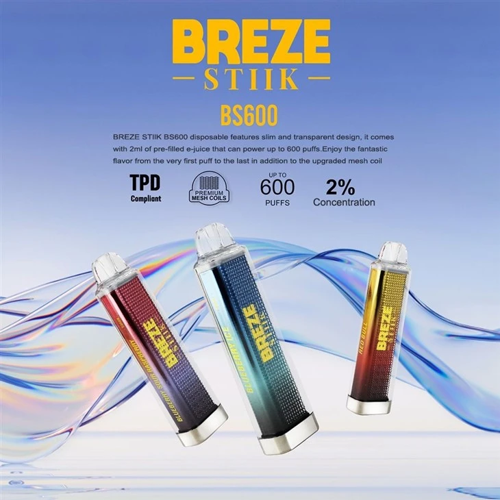 BREZE STIIK BS600 PUFF Disposable Vape best