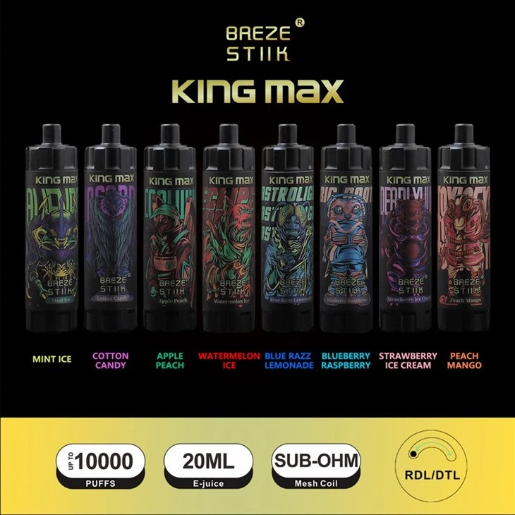 Breze Stiik Kingmax 10000 Puffs Disposable Vape best
