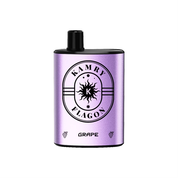Kamry Flagon 8000 Puffs Disposable Vape factory