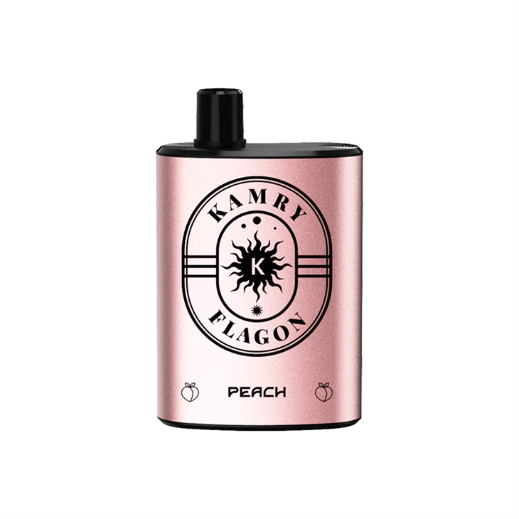 Kamry Flagon 8000 Puffs Disposable Vape best