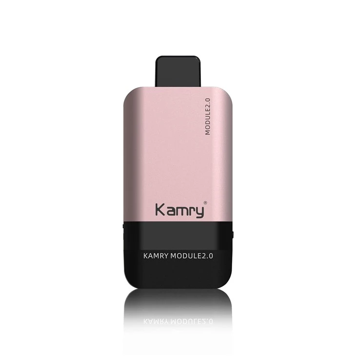 Kamry Modul 12000 Puffs Disposable Vape factory