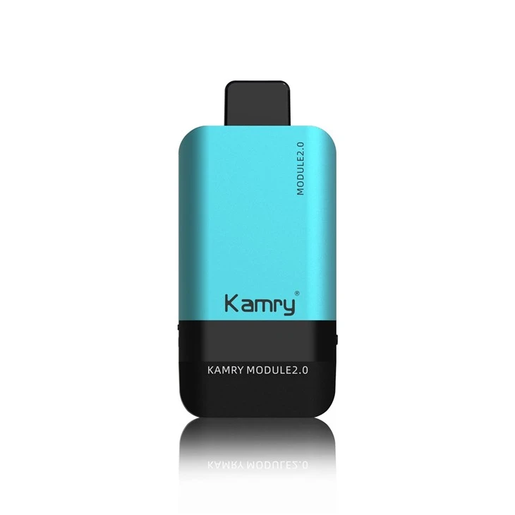 Kamry Modul 12000 Puffs Disposable Vape suppliers