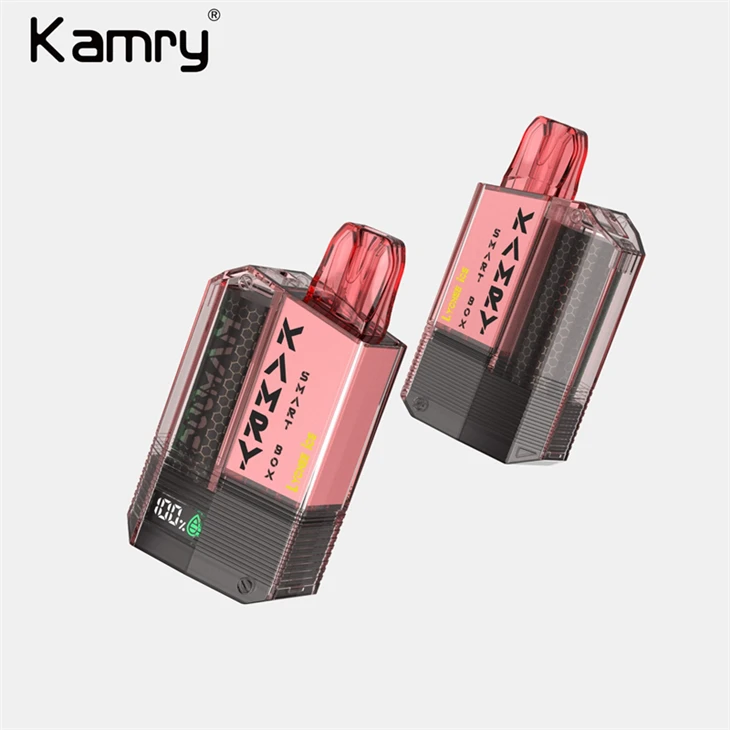 Kamry Smart BOX 600 Puffs Disposable Vape high quality