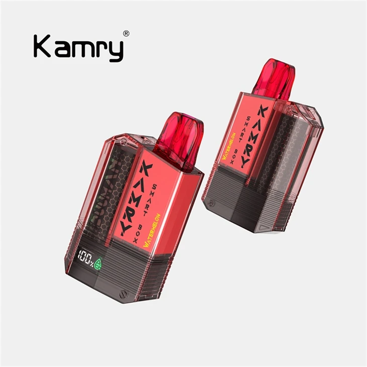 Kamry SmartBOX Pod Disposable Vape best