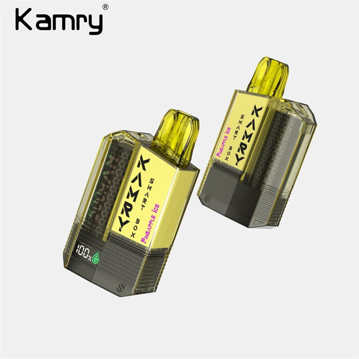 Kamry SmartBOX Pod Disposable Vape manufacturers