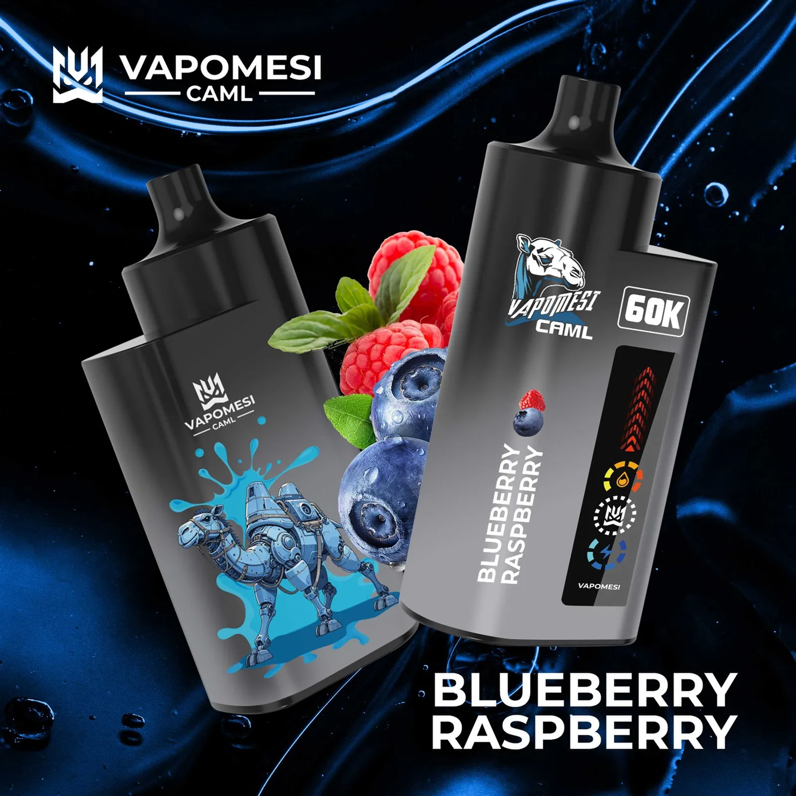 BLUEBERRYRASPBERRY02new BLUEBERRYRASPBERRY02new