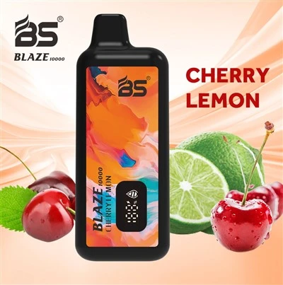 Breze Blaze BS10000 Puff Disposable Vape
