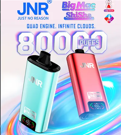 Jnr Big Mac Shisha 80K Disposable Vape