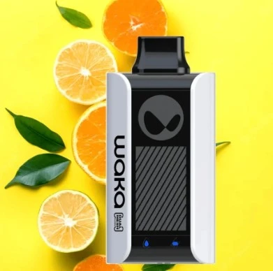Waka SoPro PA10000 Puffs Disposable Vape manufacturers